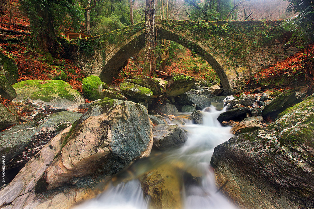 DISCOVER PELION