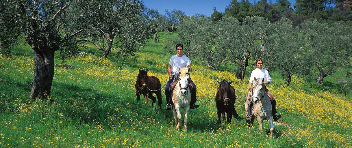 Horse-riding-pelion